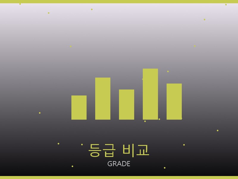 돌체앤가바나 레플리카 사이트 등급 기준 비교
